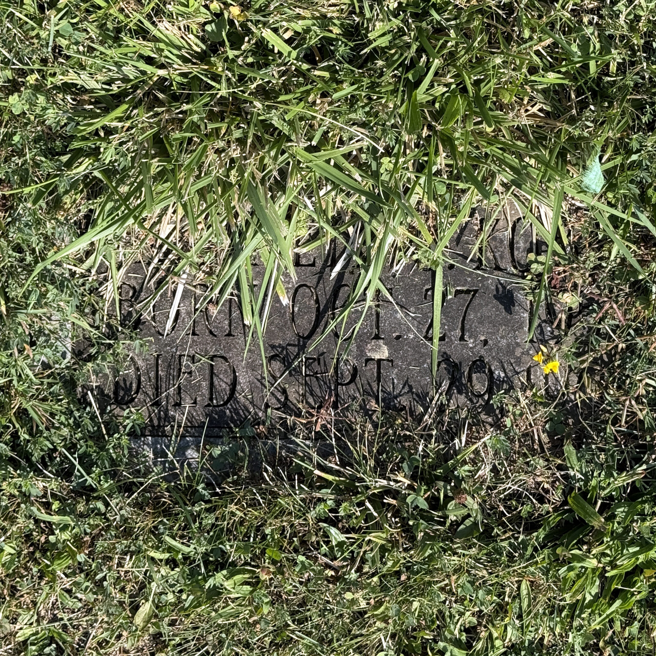 Sunken gravestone documented during cemetery condition reporting