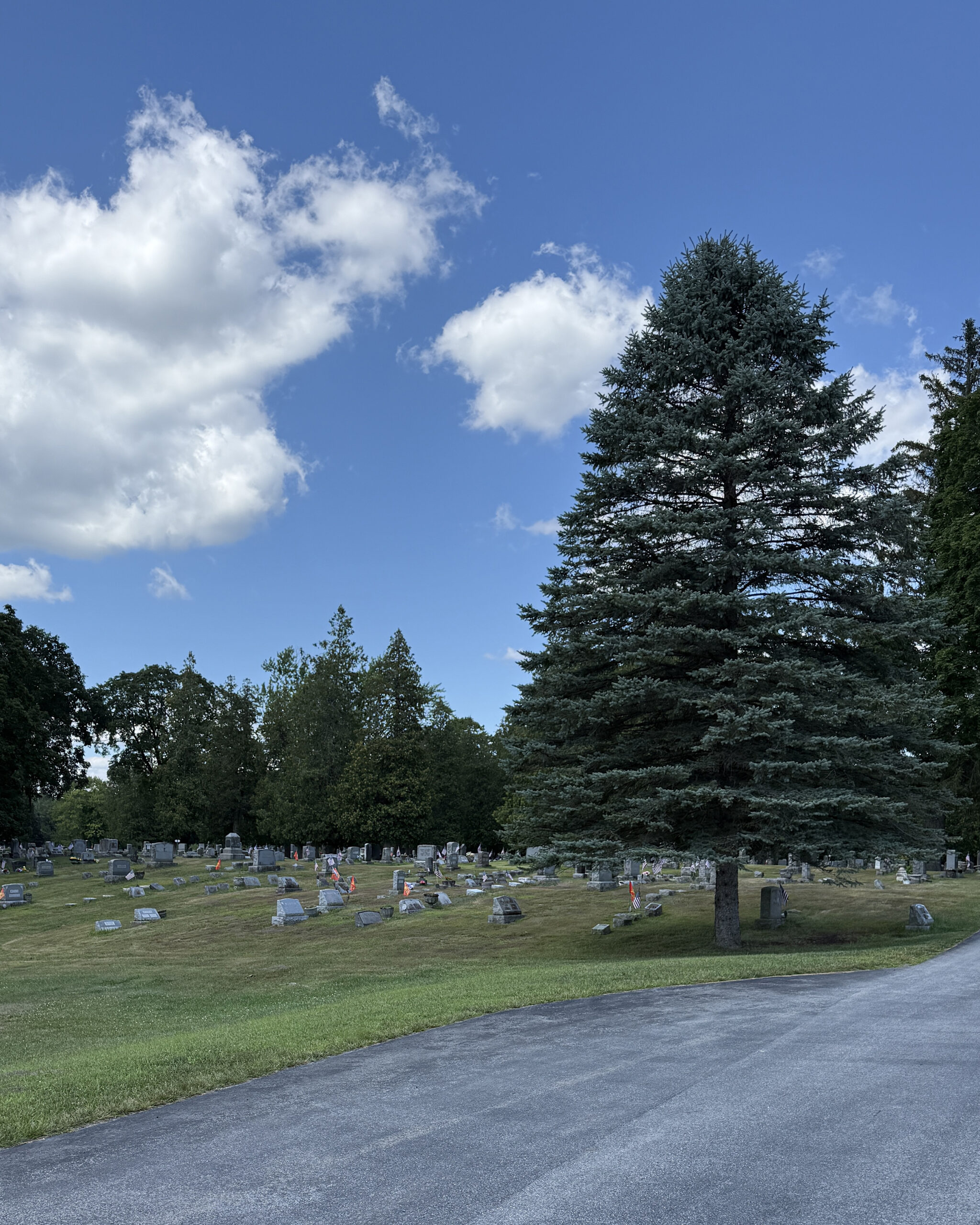 Landscape view of Ballston Spa Village Cemetery with headstones, trees, and cemetery grounds
