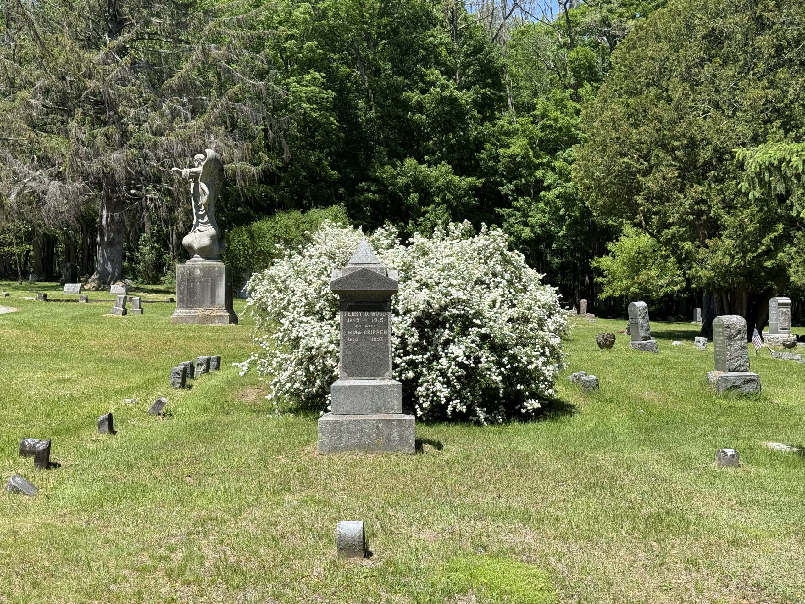 Historic cemetery landscape representing cemetery preservation planning and monitoring