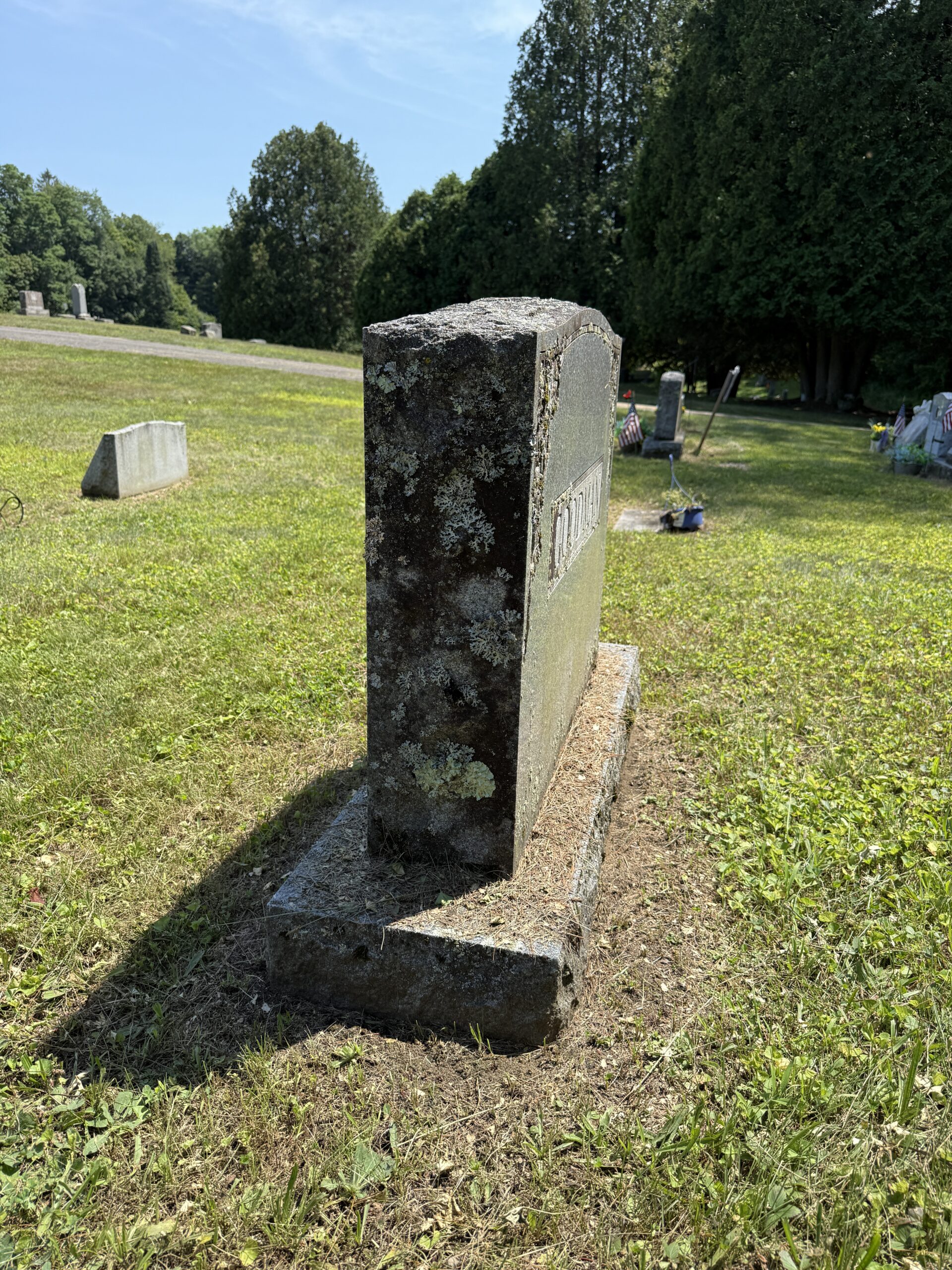 Biological growth and lichens along the edge of a headstone