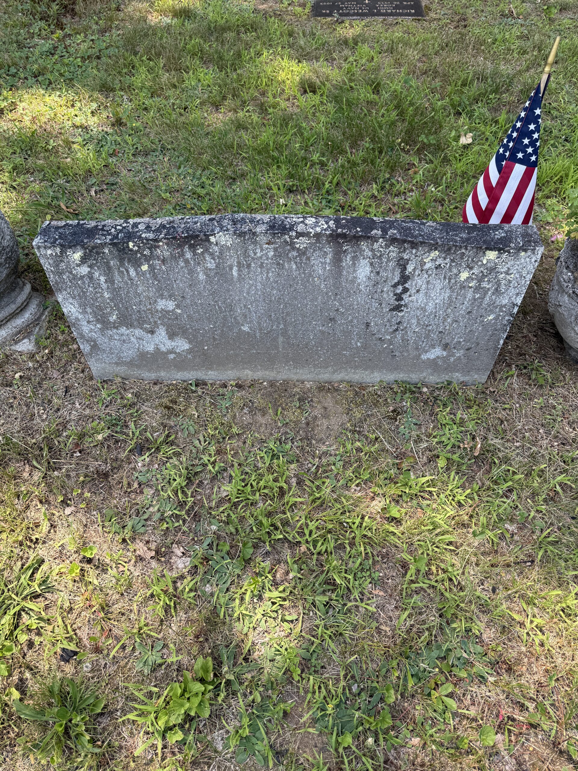 Gravestone staining and biological growth covering a cemetery headstone