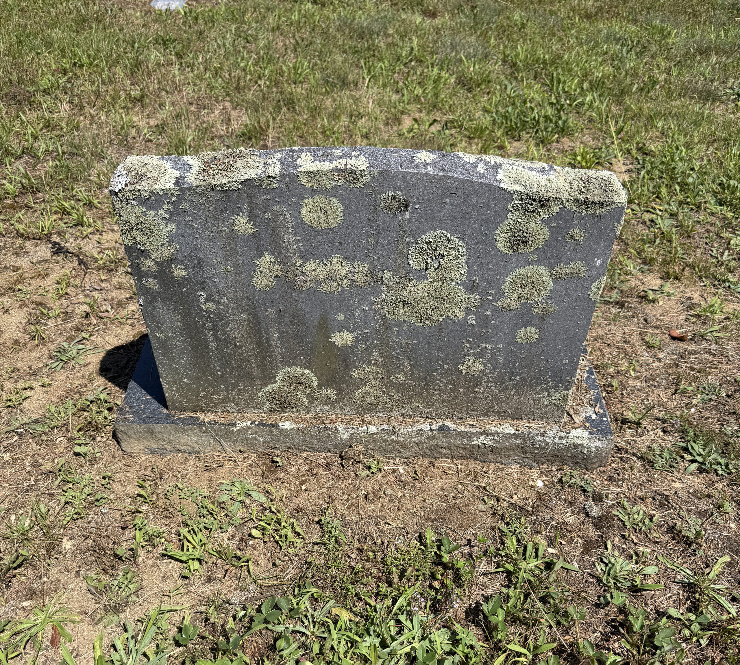 Severe biological growth on a headstone making the gravestone look dirty and stained