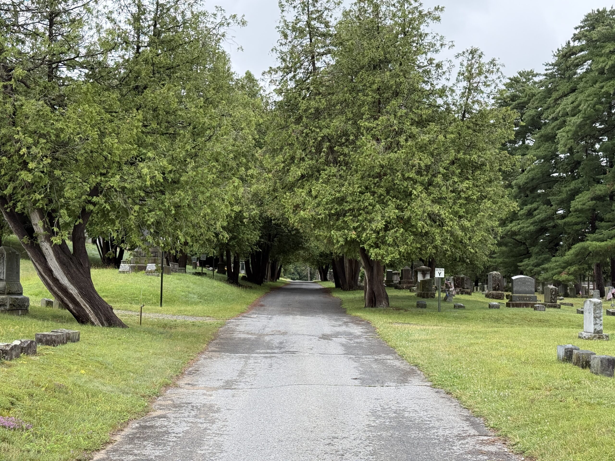 Tree-lined roadway in Greenridge Cemetery in Saratoga Springs New York for cemetery guide and family plot care resources