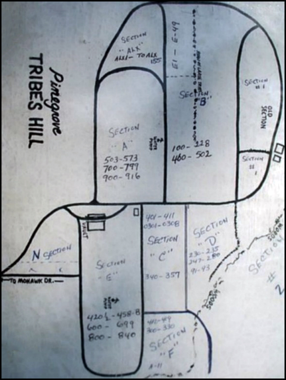 Map of Pine Grove Cemetery in Tribes Hill New York showing cemetery sections