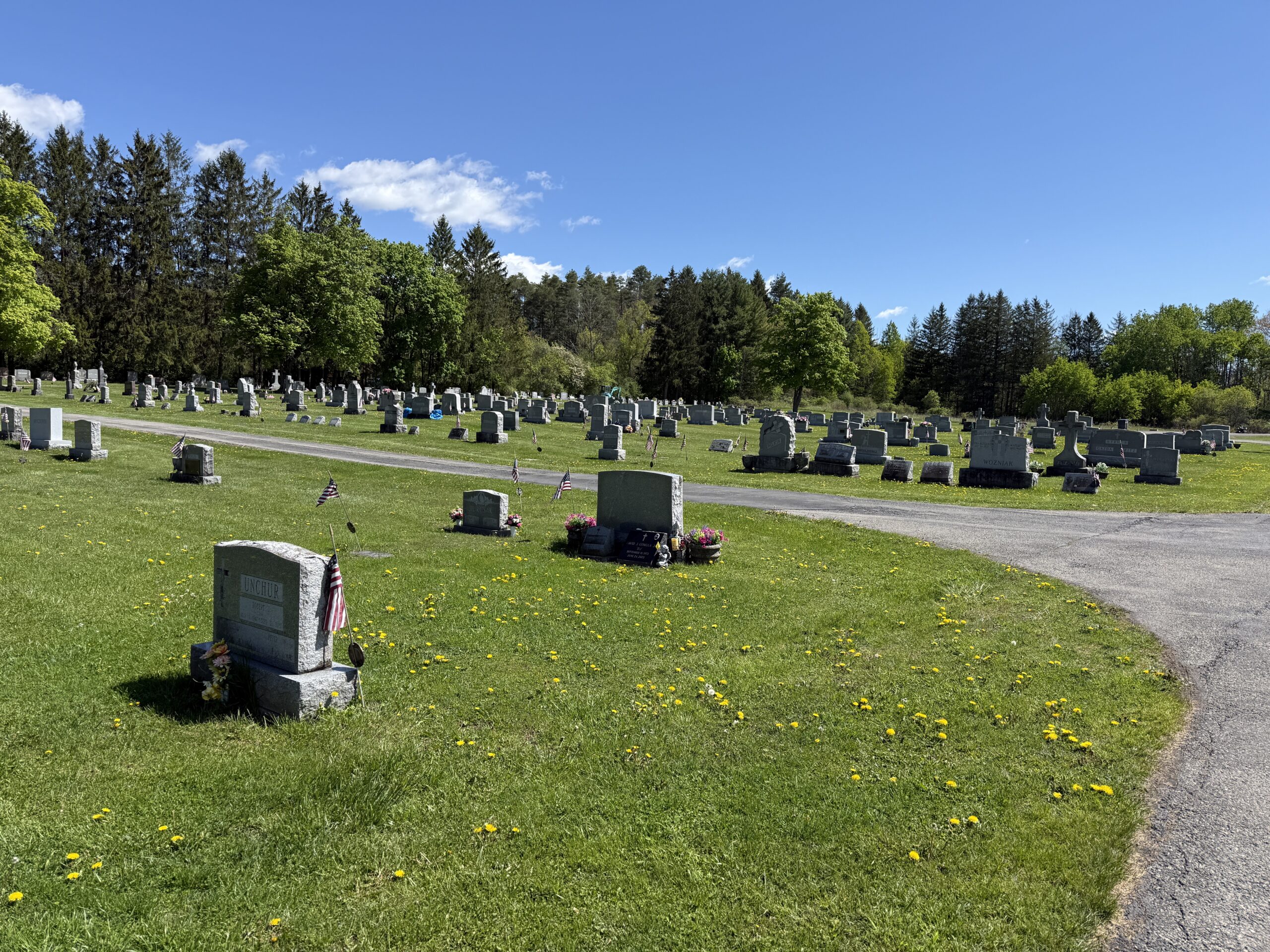 Landscape view of St. John’s Cemetery in Amsterdam New York with headstones and mature trees