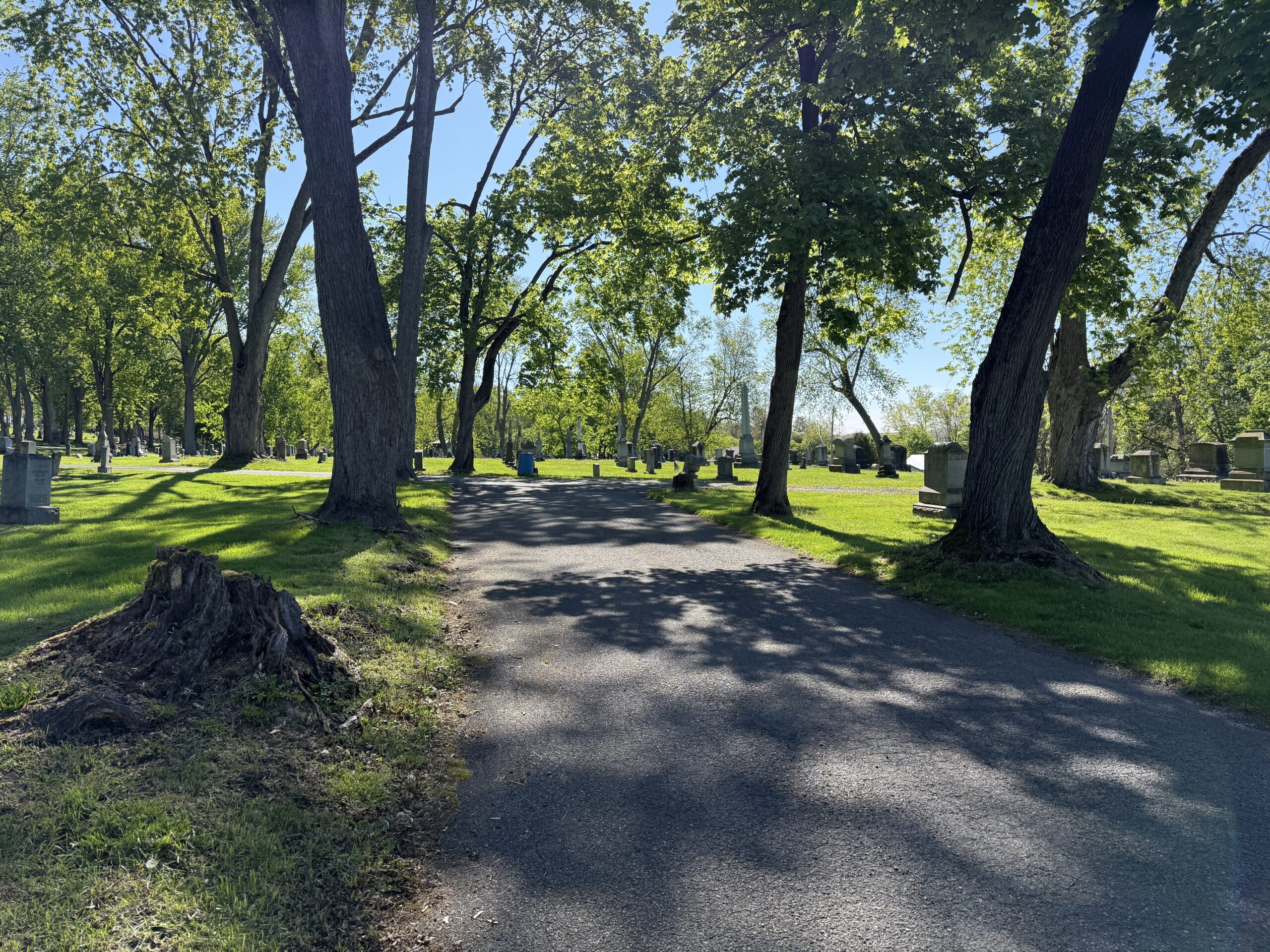 Roadway view through St. Mary’s Cemetery in Fort Johnson New York with mature trees and historic memorials
