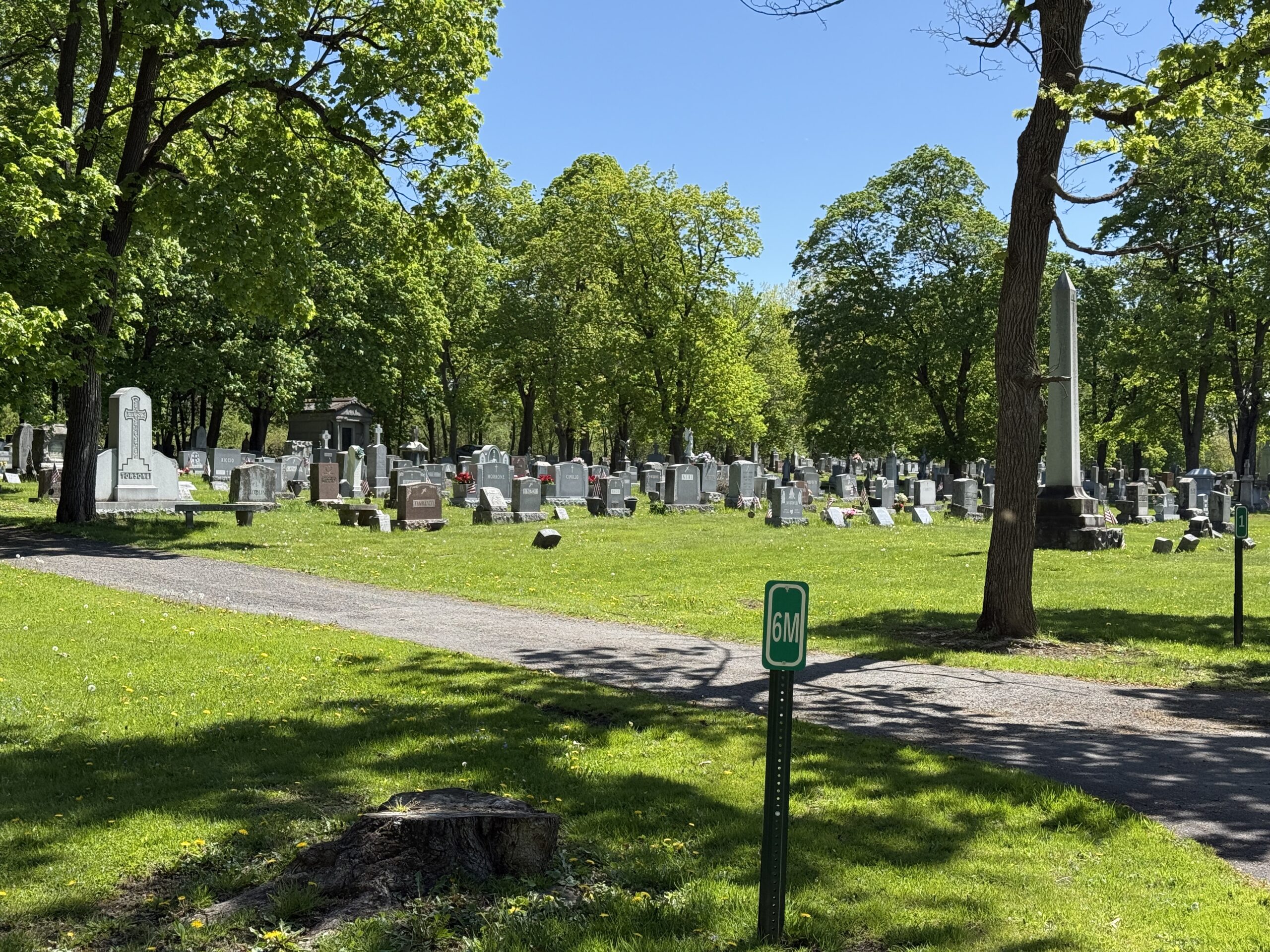 Landscape view of St. Michael Cemetery in Amsterdam New York with headstones and mature trees