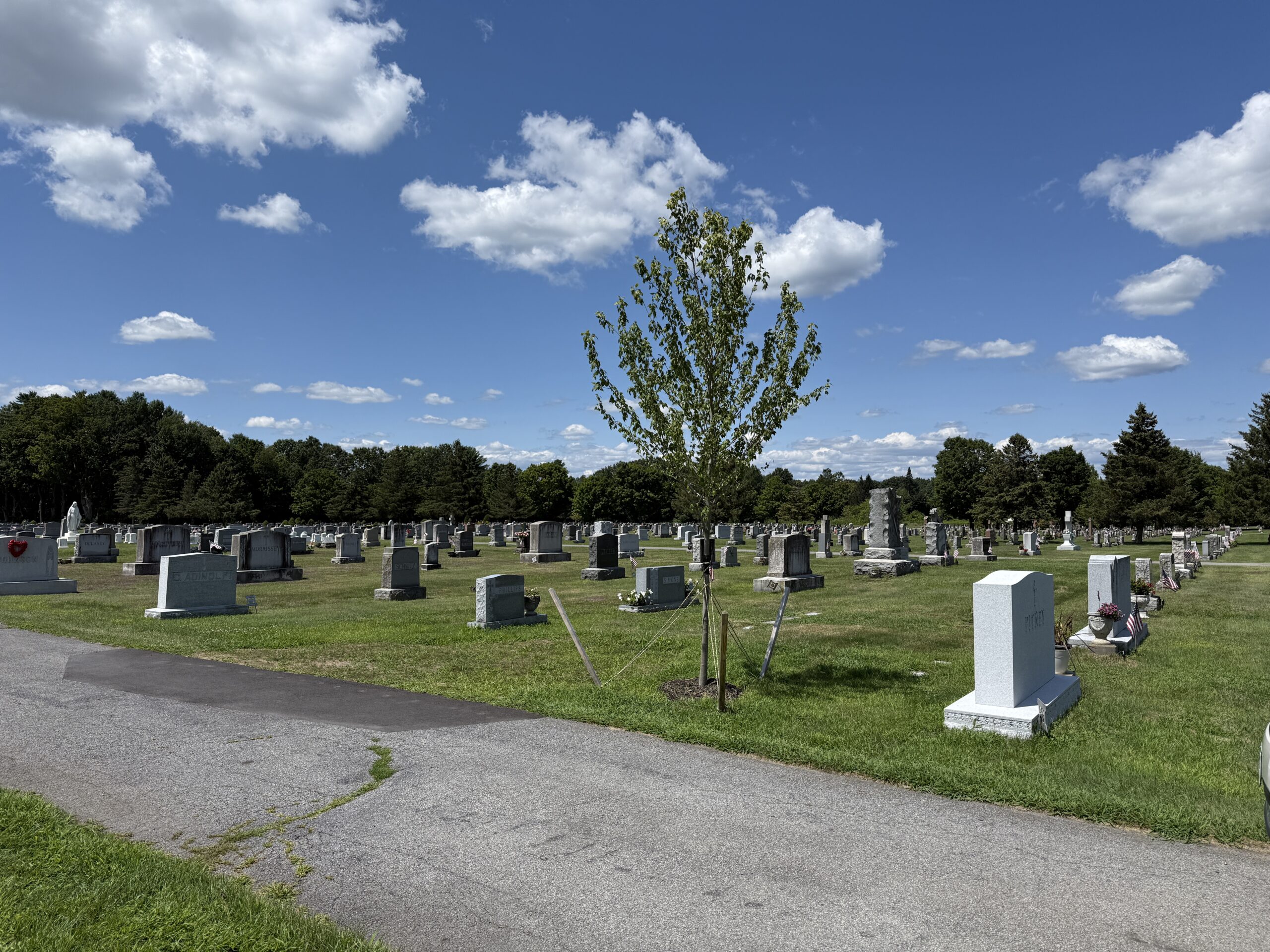 Landscape overview of St. Peter's Cemetery in Saratoga Springs New York showing memorial sections and cemetery grounds