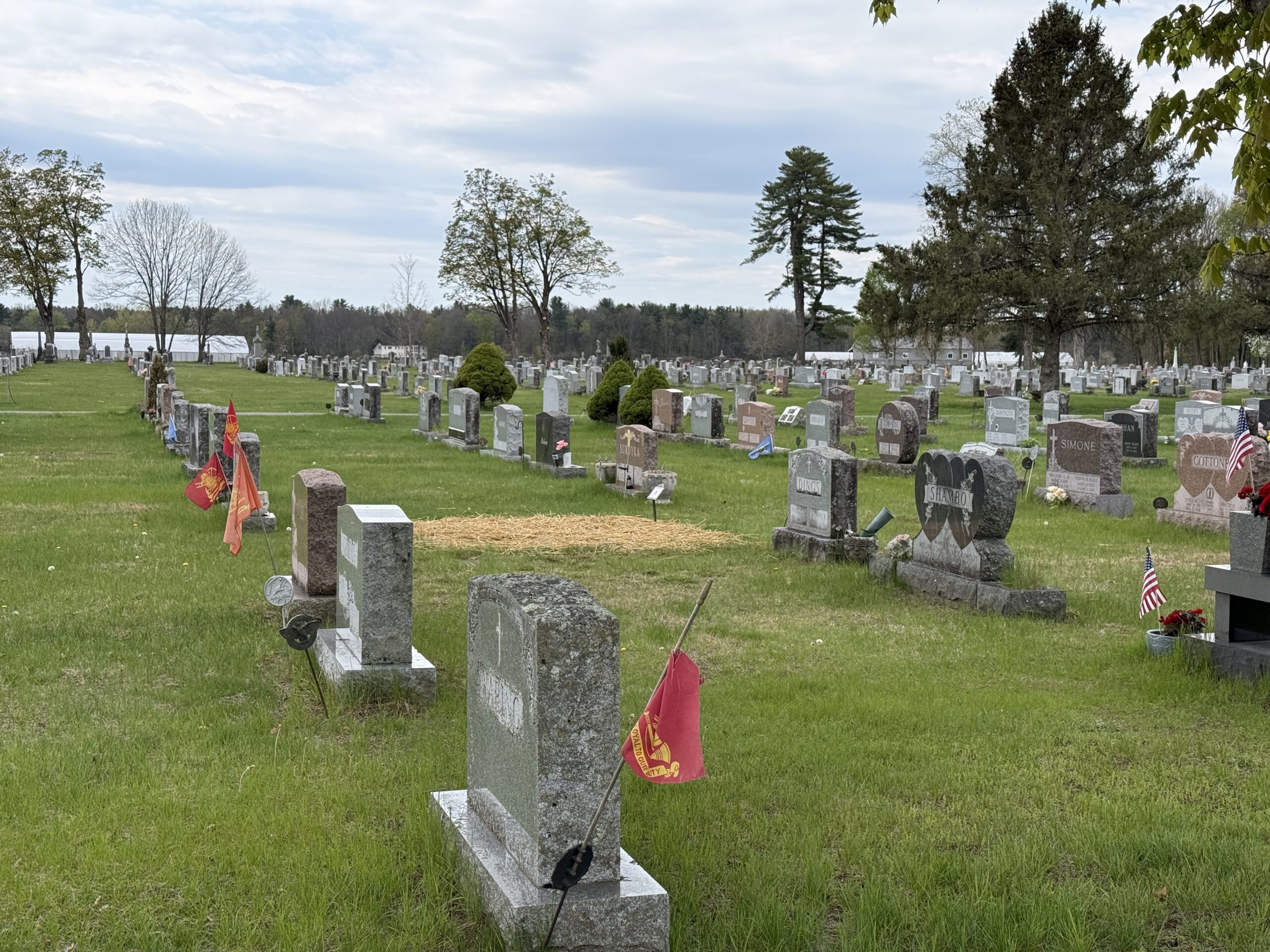 Veteran memorial section at St. Peter's Cemetery in Saratoga Springs New York with military flags marking veteran graves