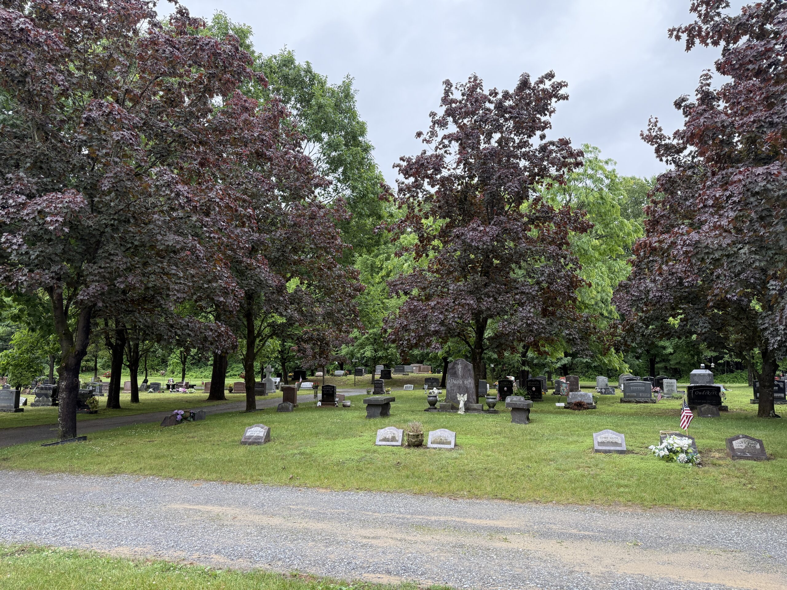 Woodcock family plot at Greenridge Cemetery in Saratoga Springs, NY after professional gravestone cleaning and documented cemetery care by Gravestone Revival