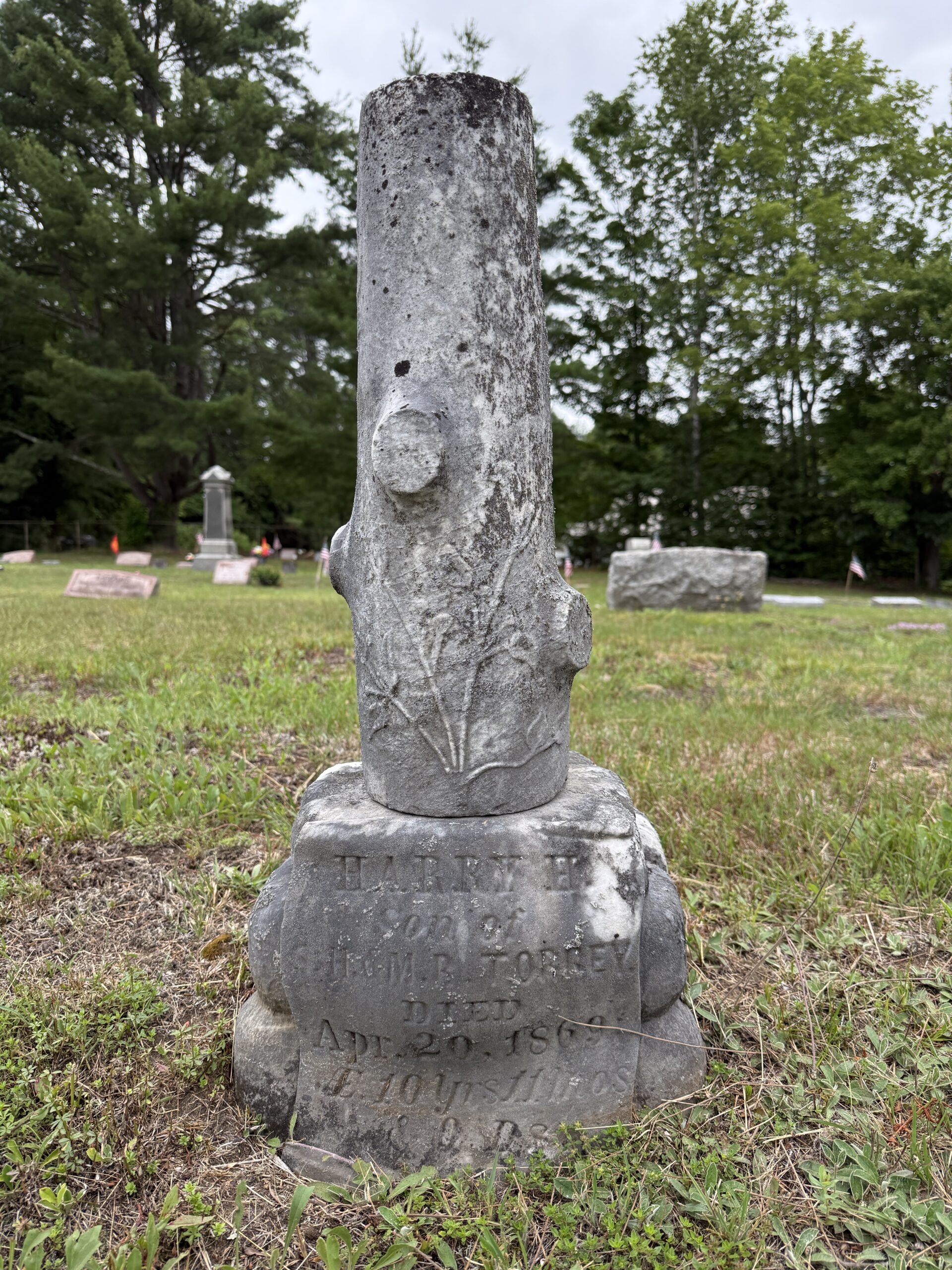 Harry H. Torrey tree-stump memorial at Edinburg Cemetery in Edinburg, New York