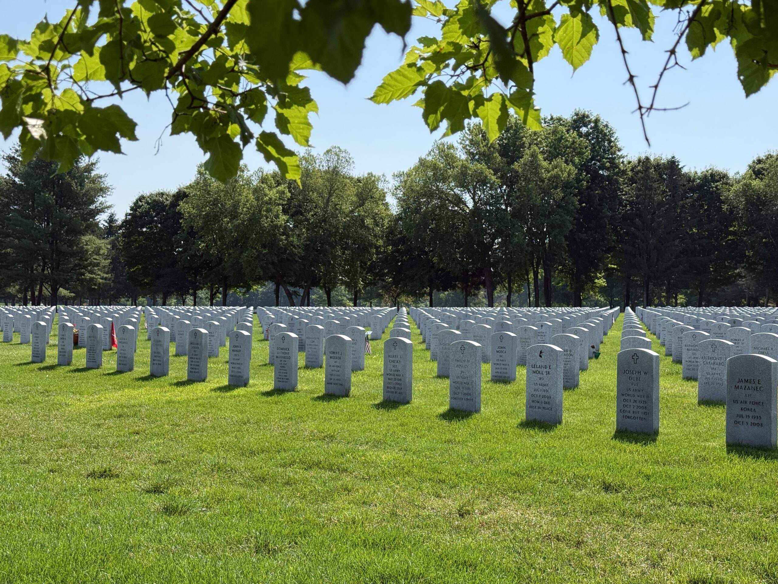 Aligned veteran headstones at Gerald B. H. Solomon Saratoga National Cemetery