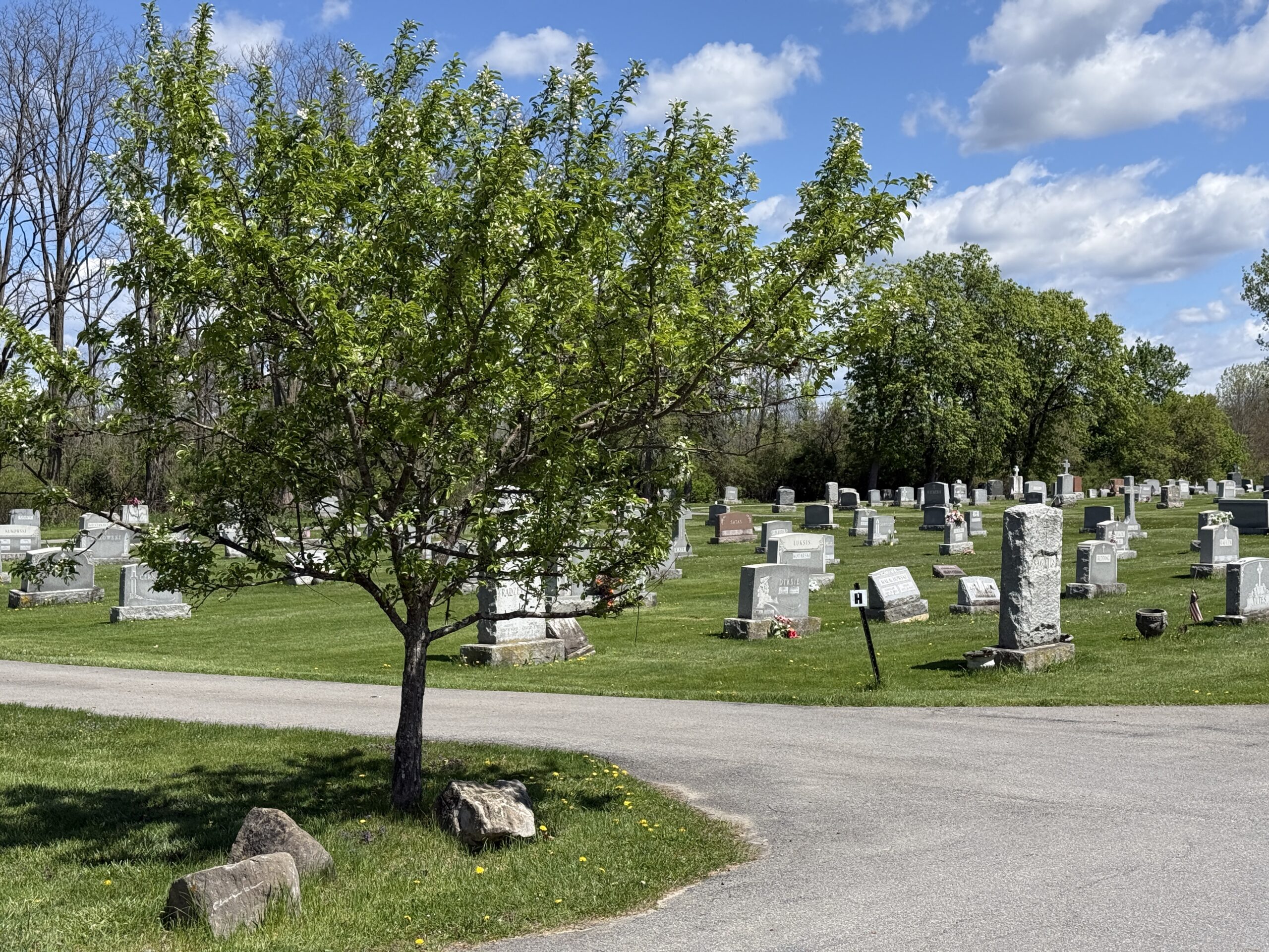 Gravestones and family memorials at St. Casimir’s Cemetery in Amsterdam New York