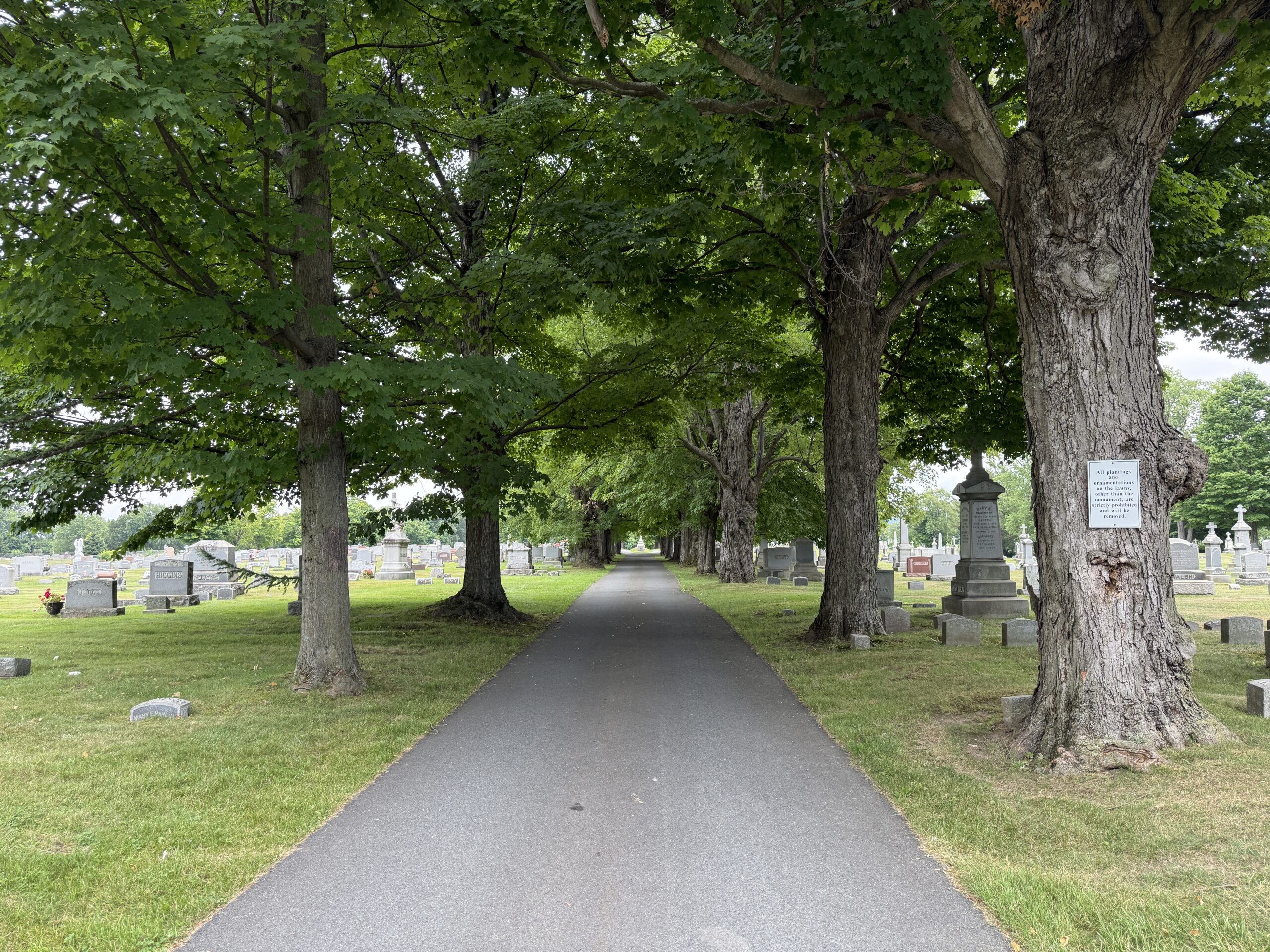 Entrance roadway and cemetery landscape at St. Mary’s Cemetery in Waterford New York